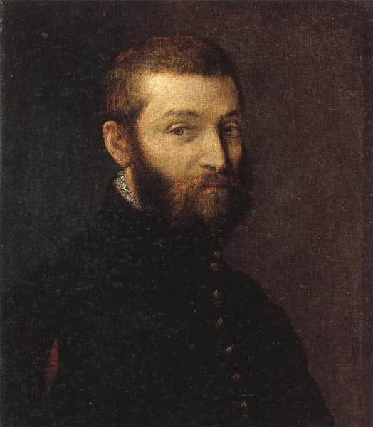 VERONESE (Paolo Caliari) Portrait of a Man oil painting image